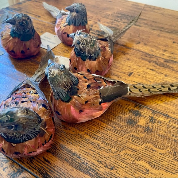 8 NEW Holiday Decor/Colorful Feathered Pheasants
Here comes Fall/Thanksgiving🦅 - Picture 8 of 8